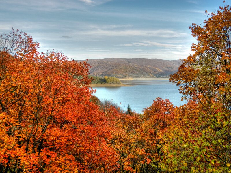 Autumn trees overlooking a lake