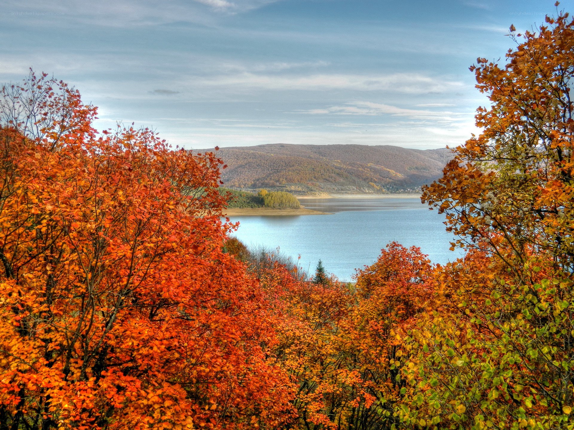 Autumn trees overlooking a lake