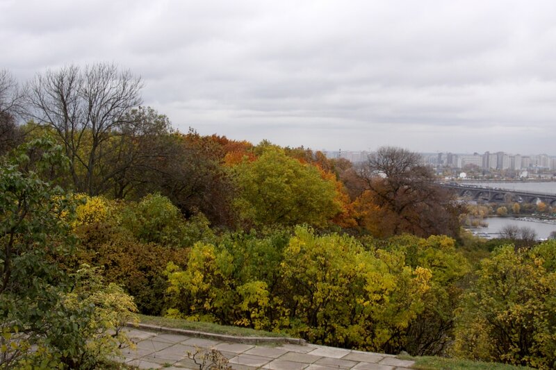 Autumn Trees Overlooking City — Green