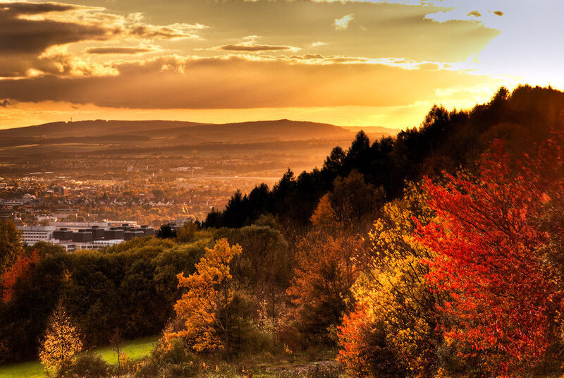 Autumn Trees Overlooking City