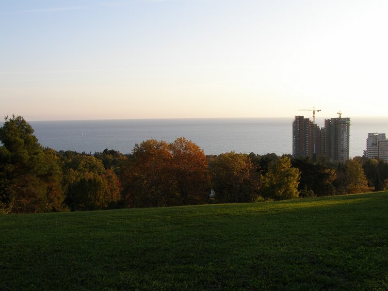 Autumn Trees Overlooking Sea