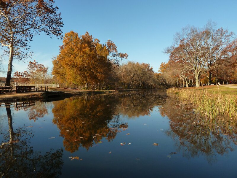 Autumn trees reflect in calm pond