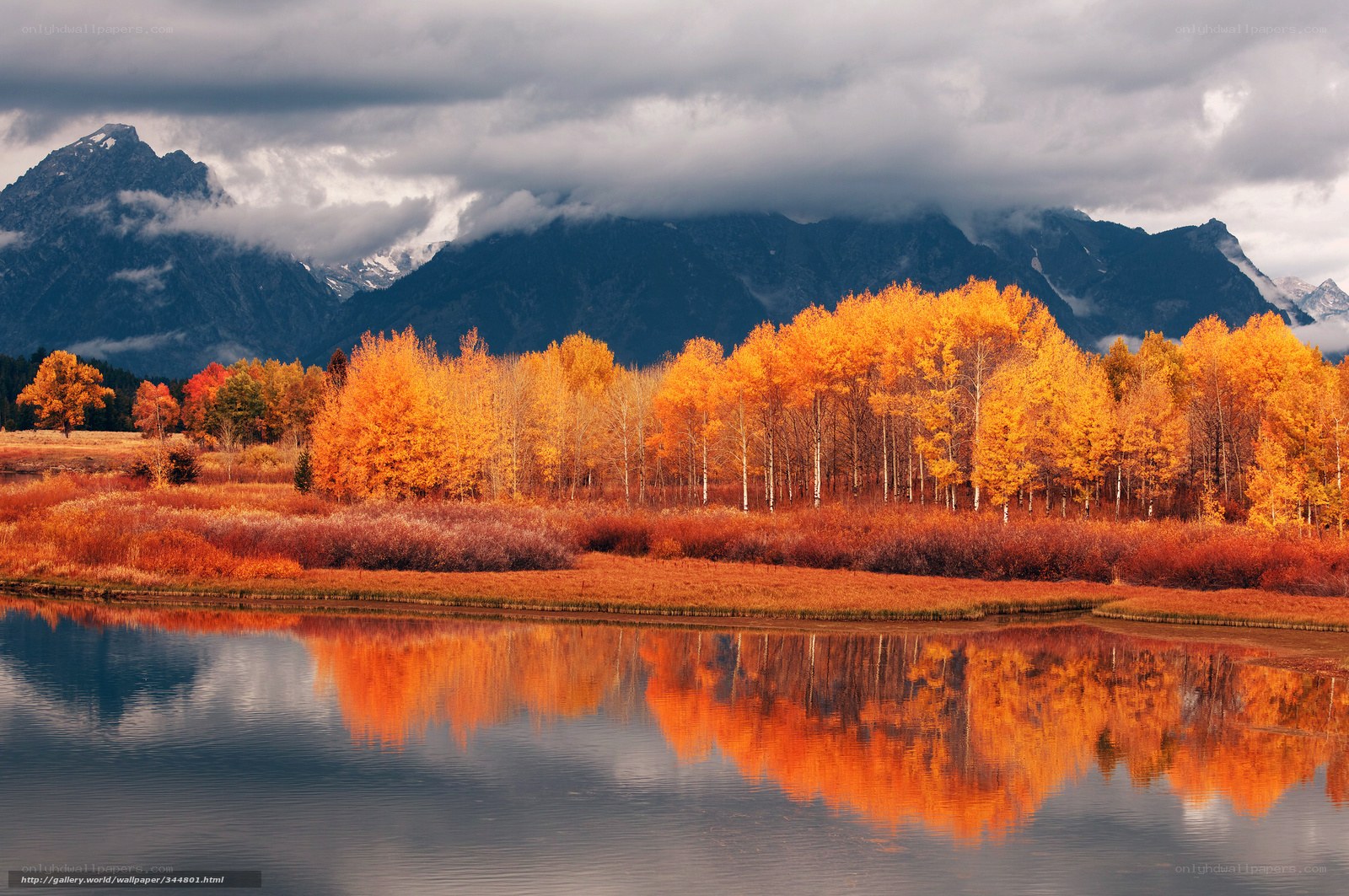 Autumn trees reflect in lake