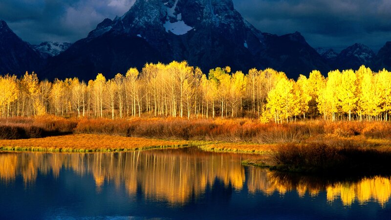 Autumn trees reflect in lake