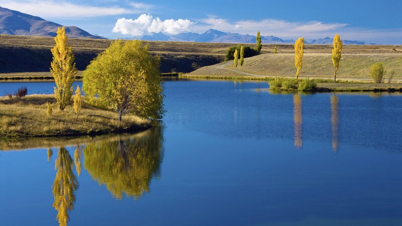 Autumn trees reflect in lake