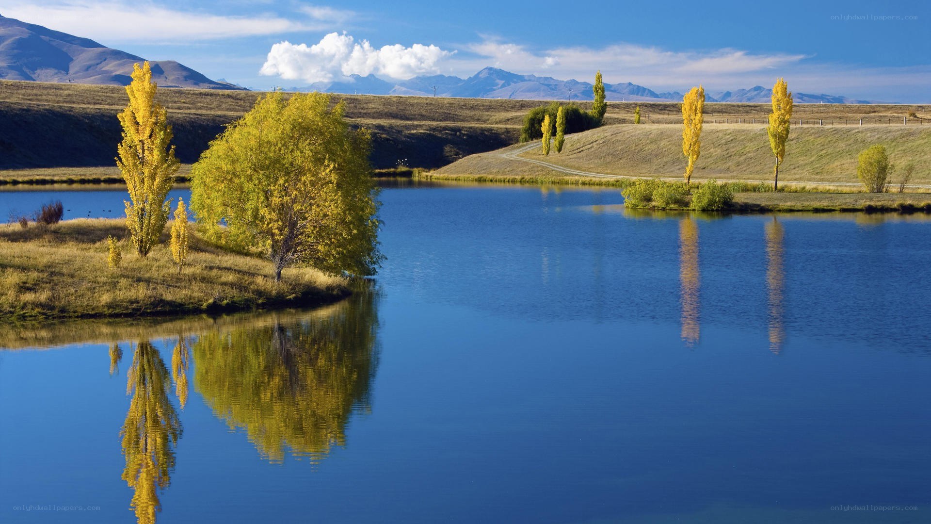 Autumn trees reflect in lake
