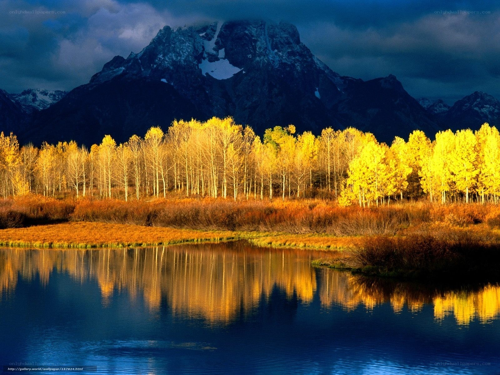 Autumn trees reflect in lake