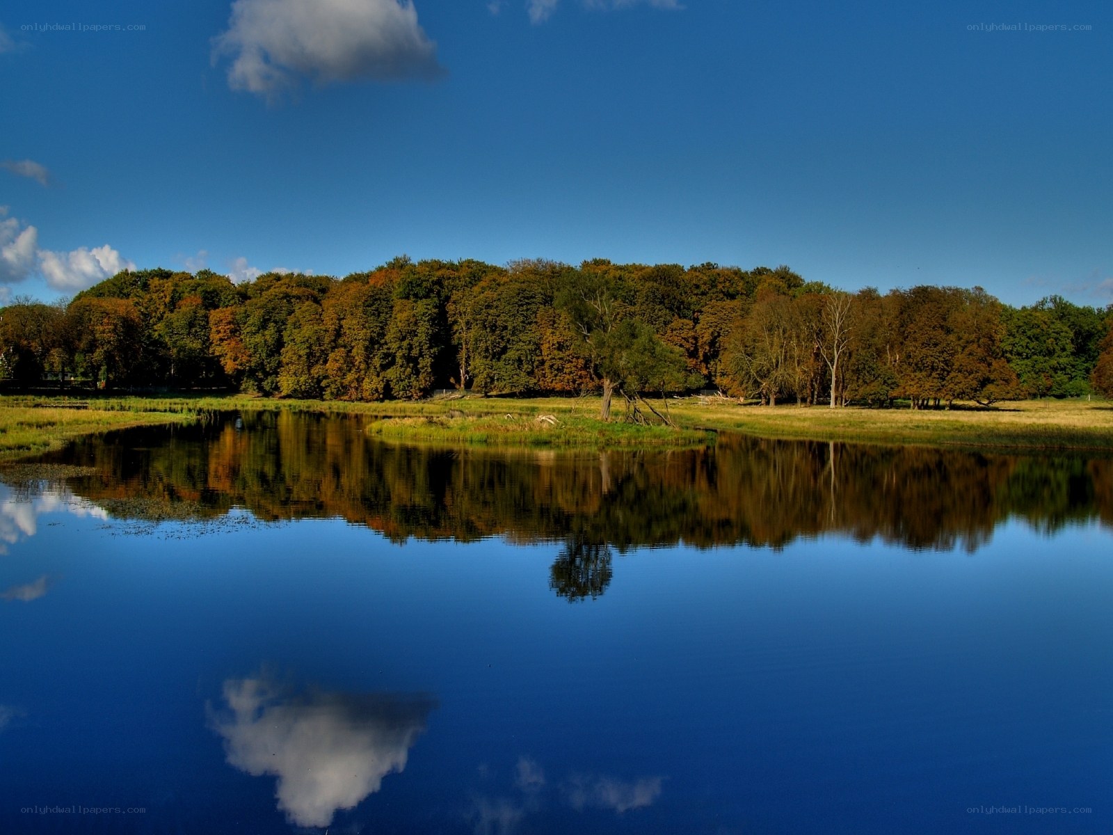 Autumn trees reflected in a calm lake