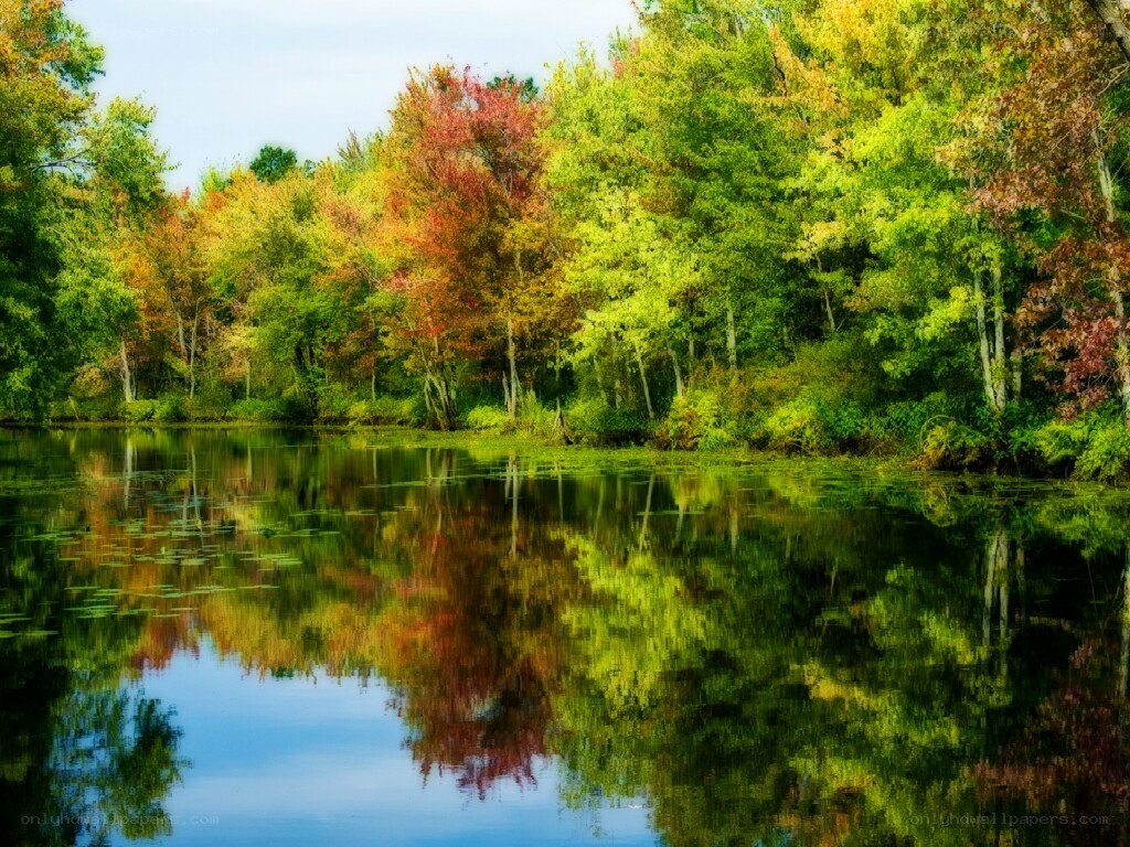 Autumn trees reflected in a calm lake