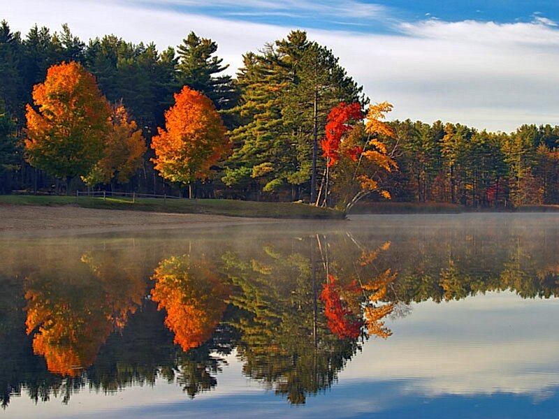 Autumn trees reflected in a calm lake