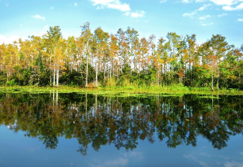 Autumn trees reflected in a calm lake