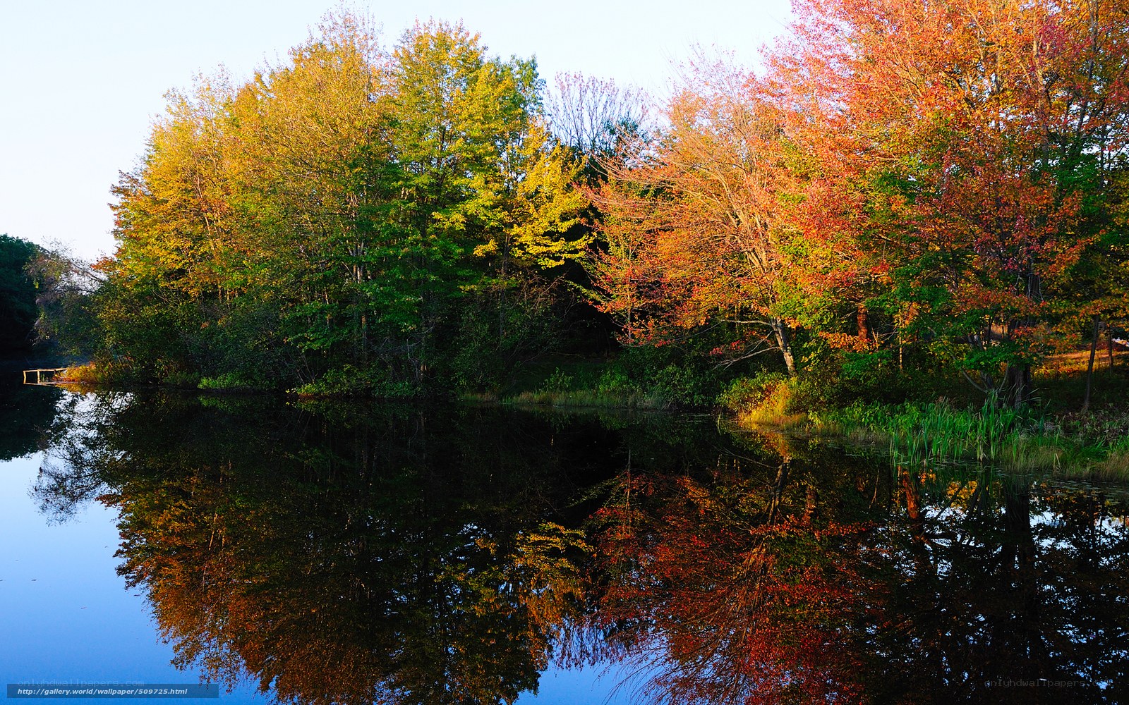 Autumn trees reflected in a lake