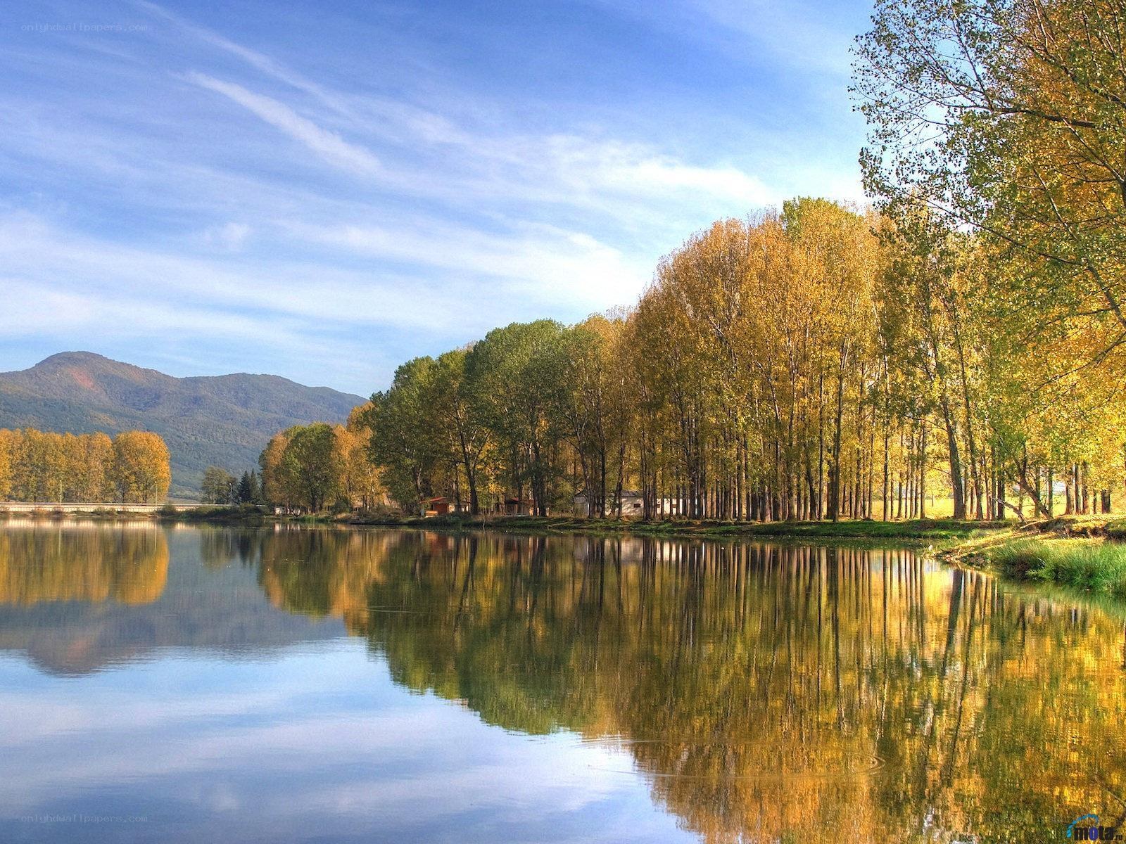 Autumn trees reflected in a lake