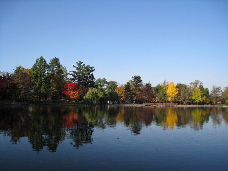 Autumn trees reflected in a lake
