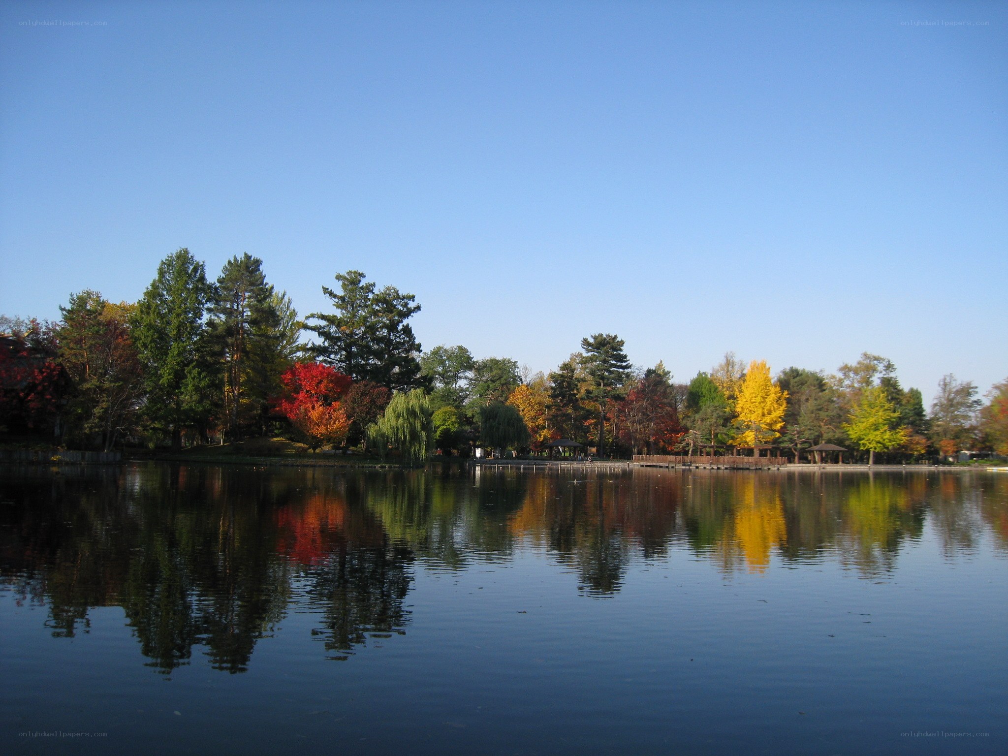 Autumn trees reflected in a lake