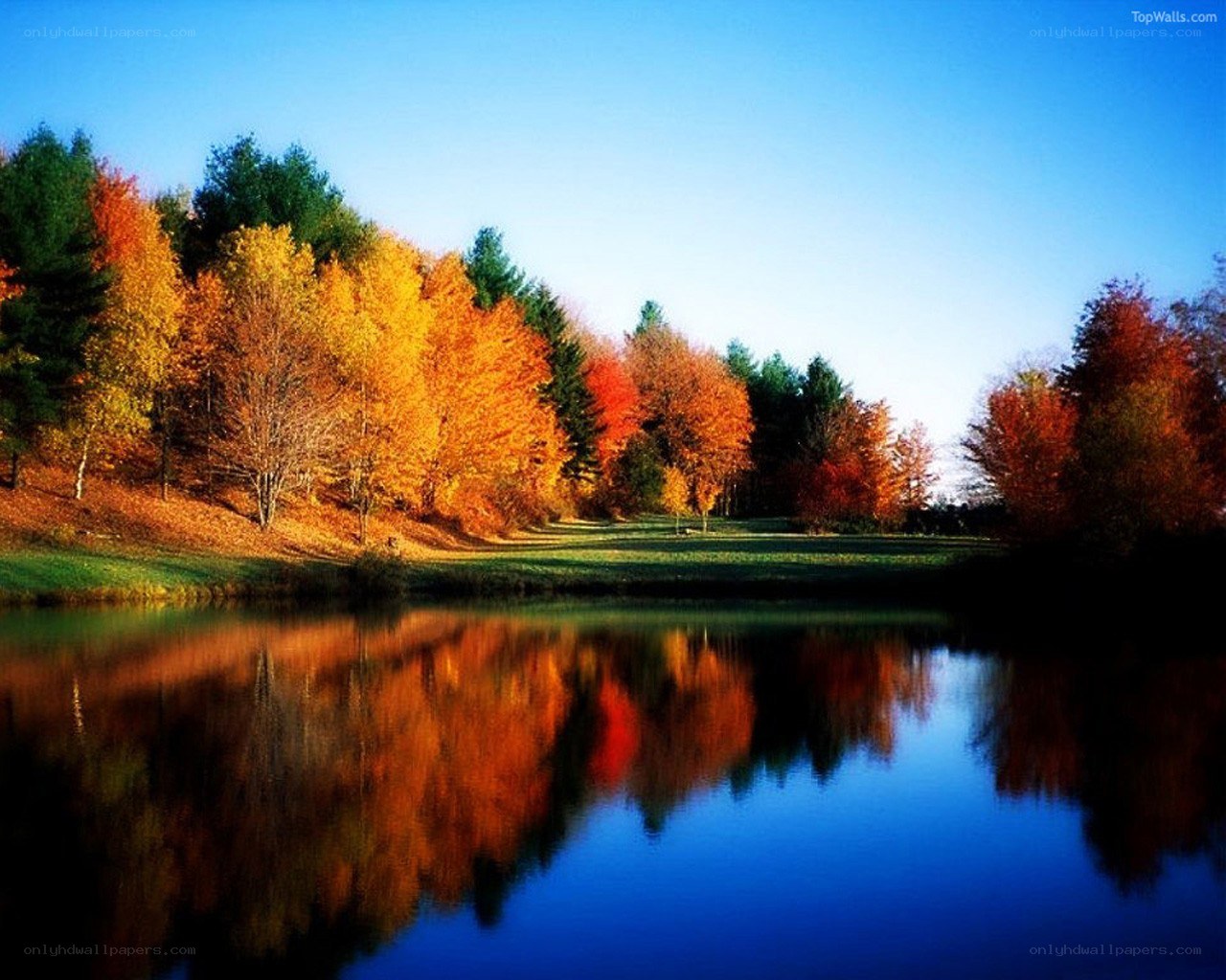 Autumn trees reflected in a lake