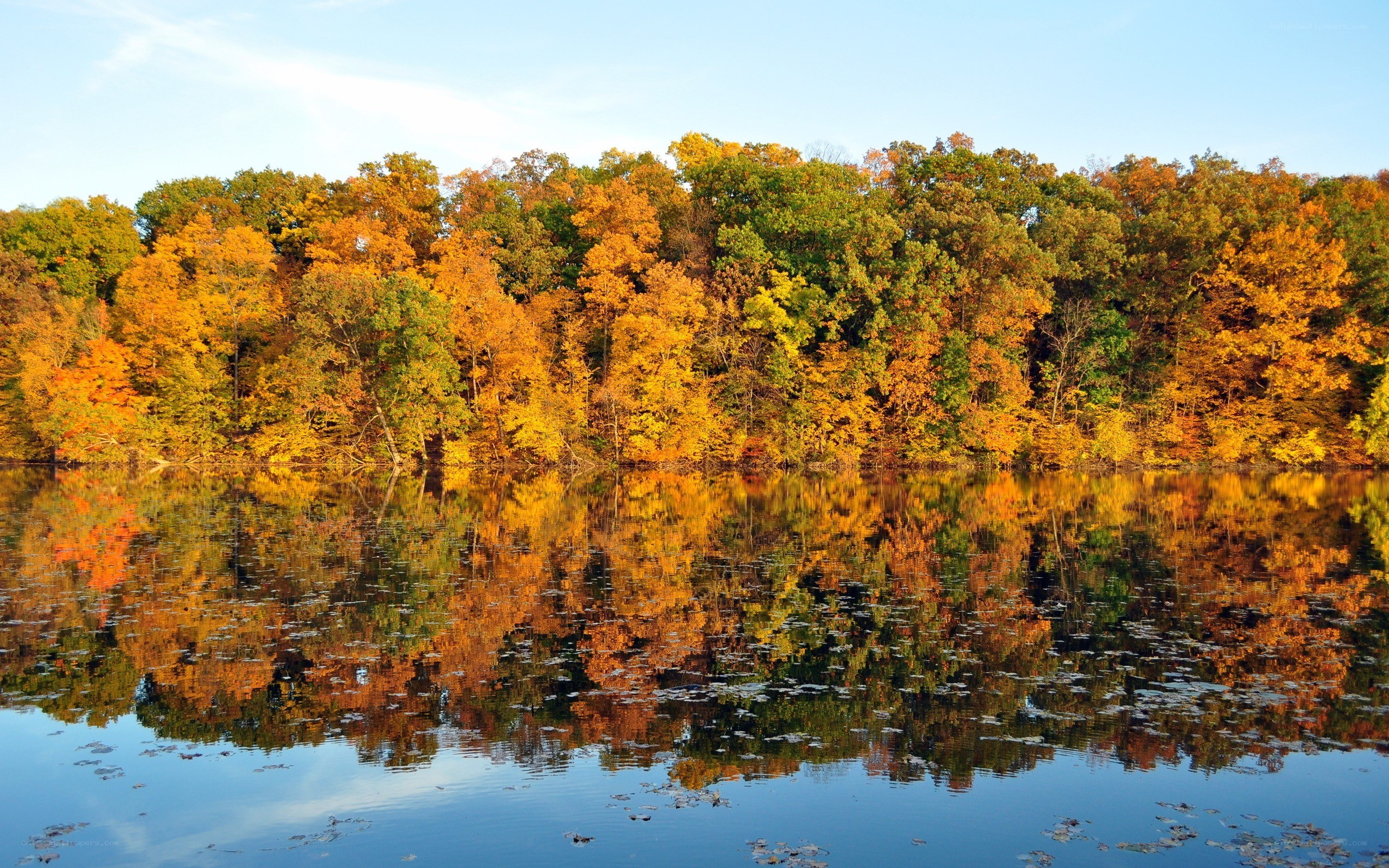 Autumn trees reflected in a lake