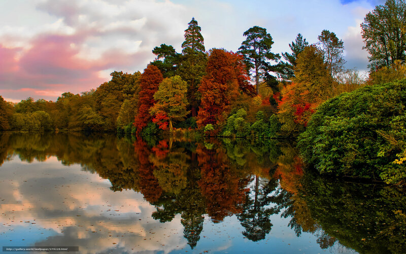 Autumn trees reflected in a lake