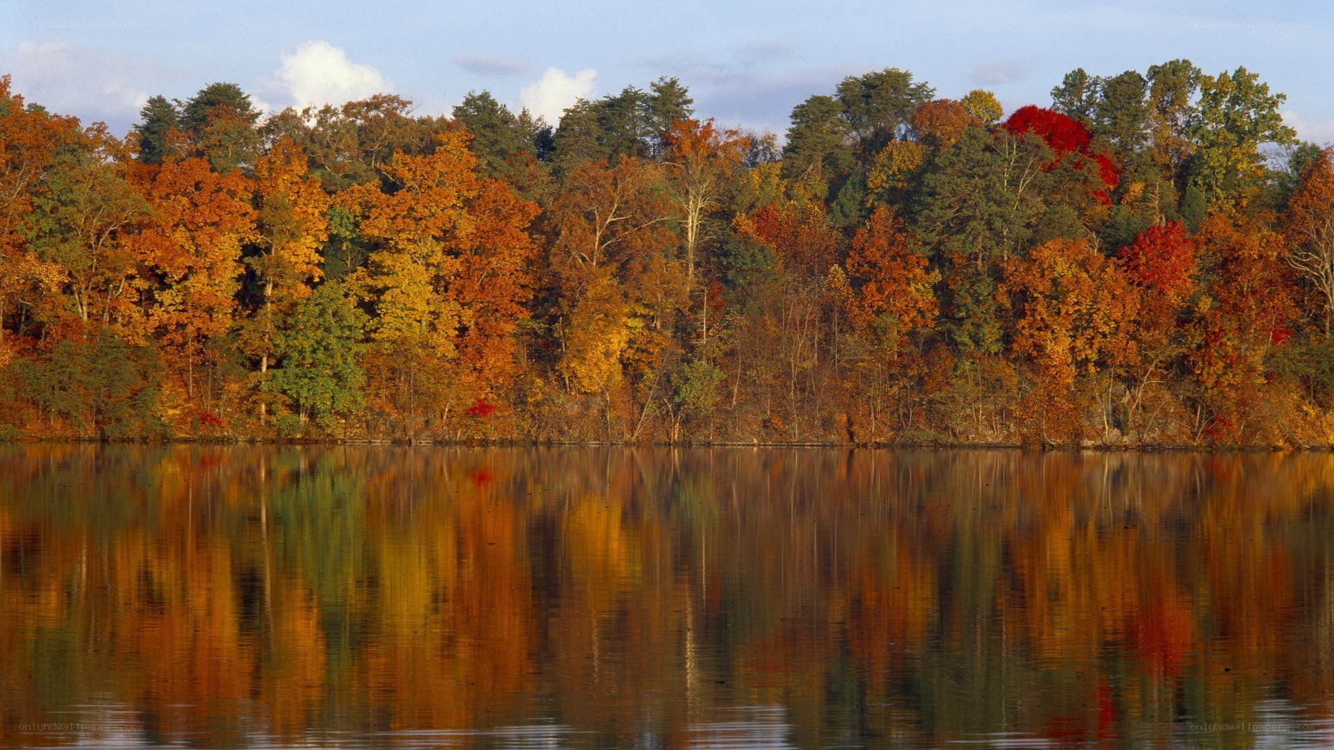 Autumn trees reflected in a lake