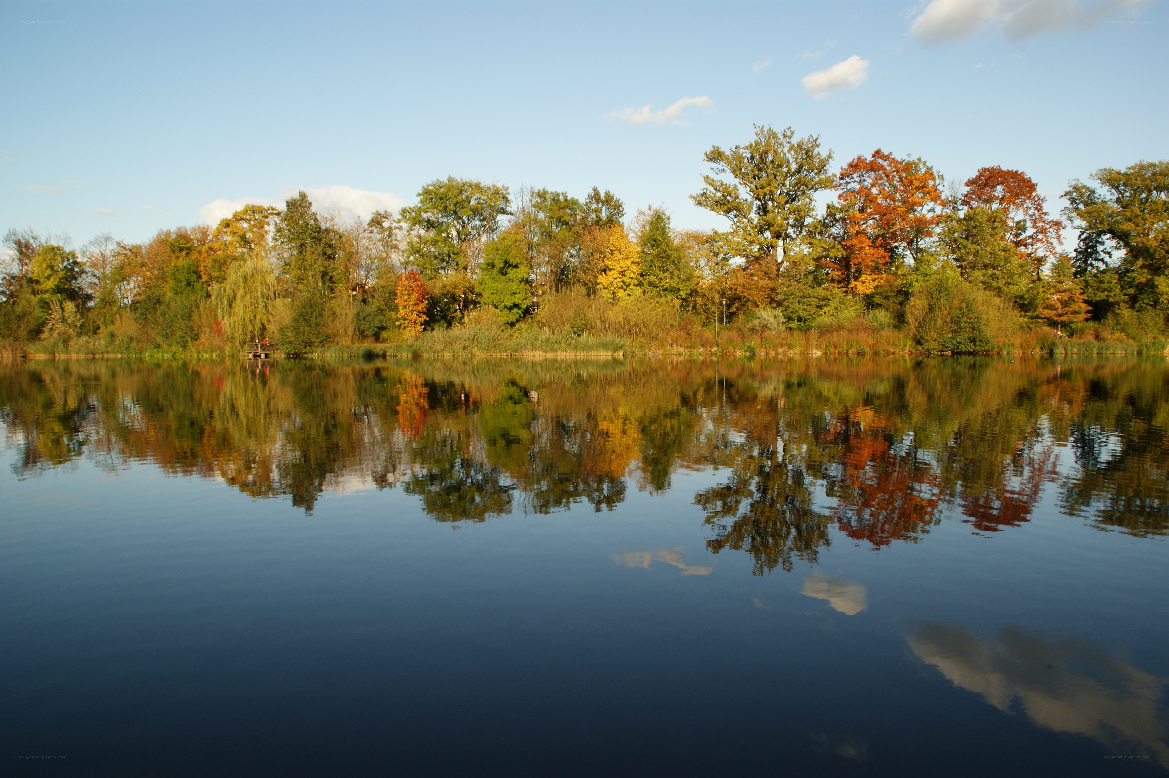 Autumn trees reflected in a lake