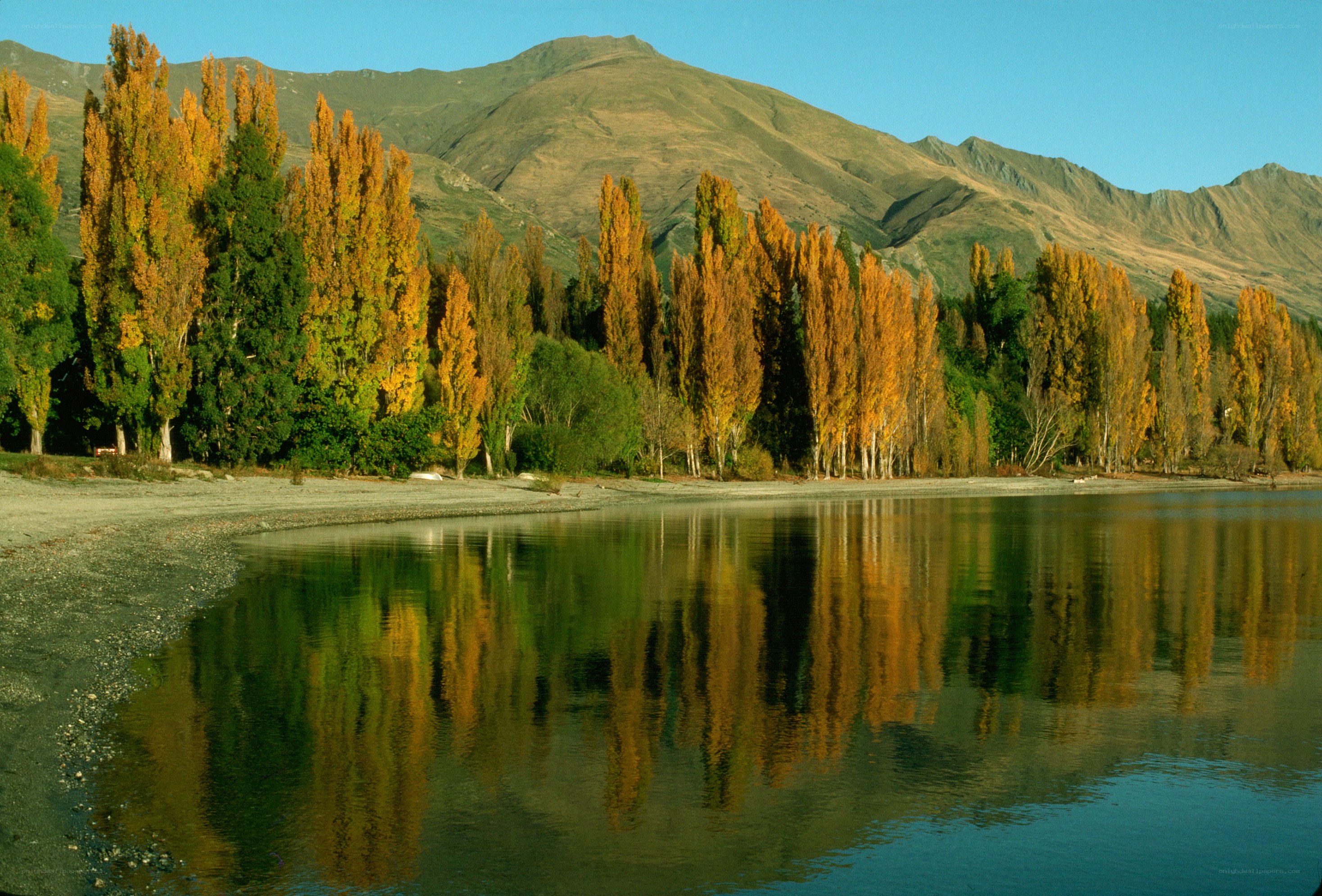 Autumn trees reflected in a lake