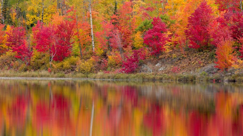 Autumn trees reflected in a lake