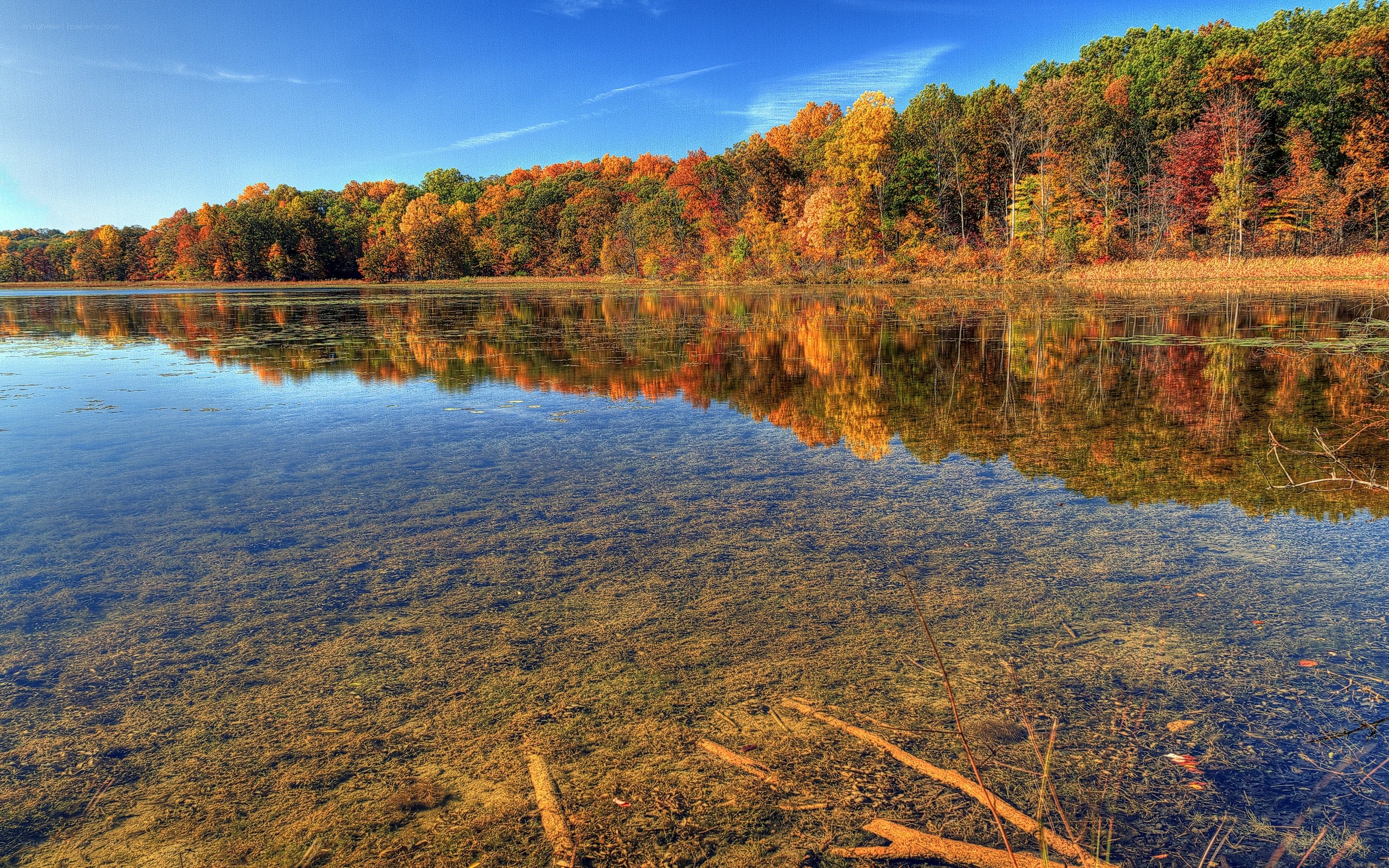 Autumn trees reflected in a lake