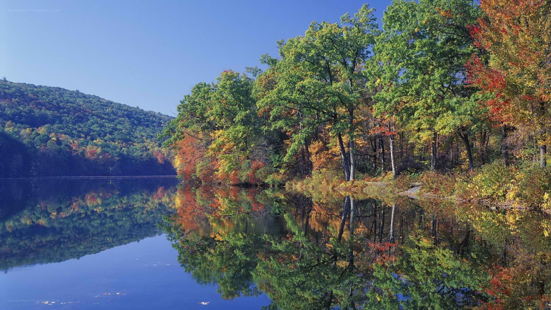 Autumn trees reflected in a lake