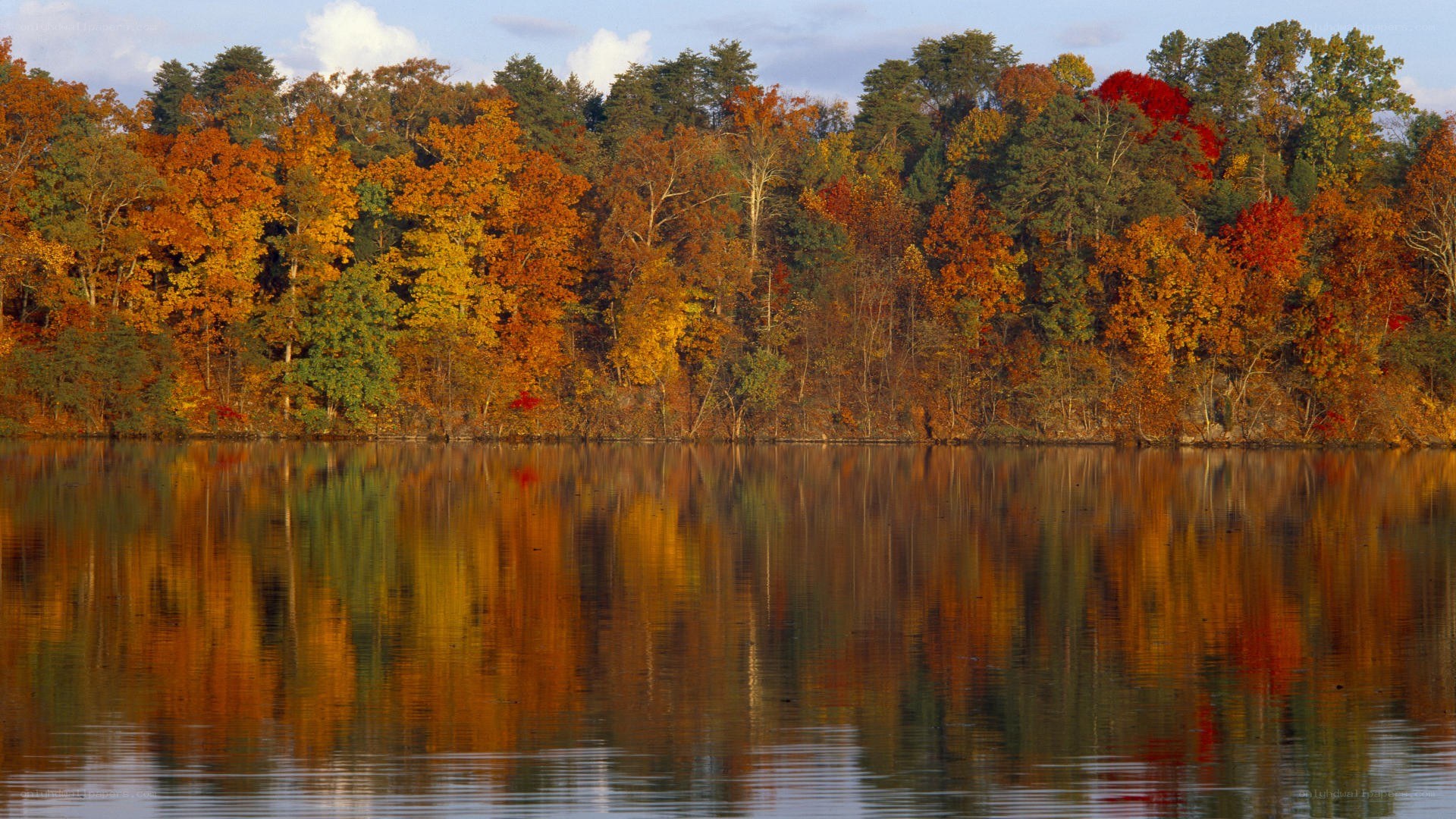 Autumn trees reflected in a lake