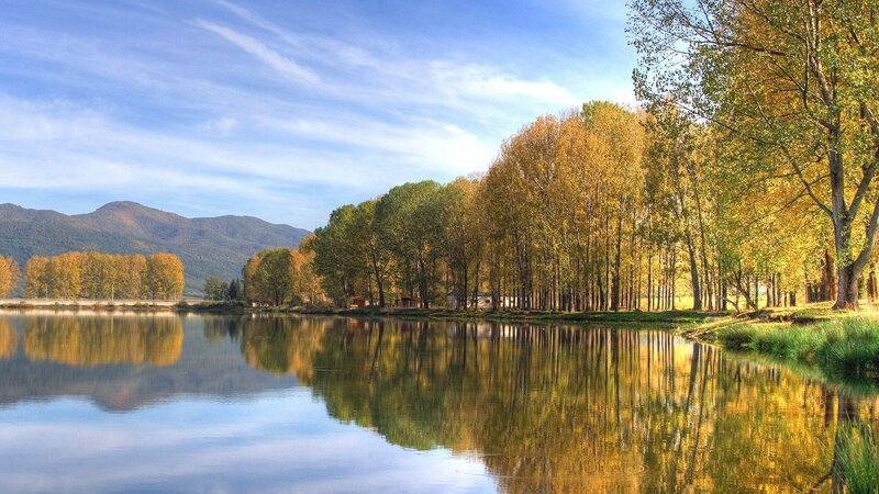 Autumn trees reflected in a lake