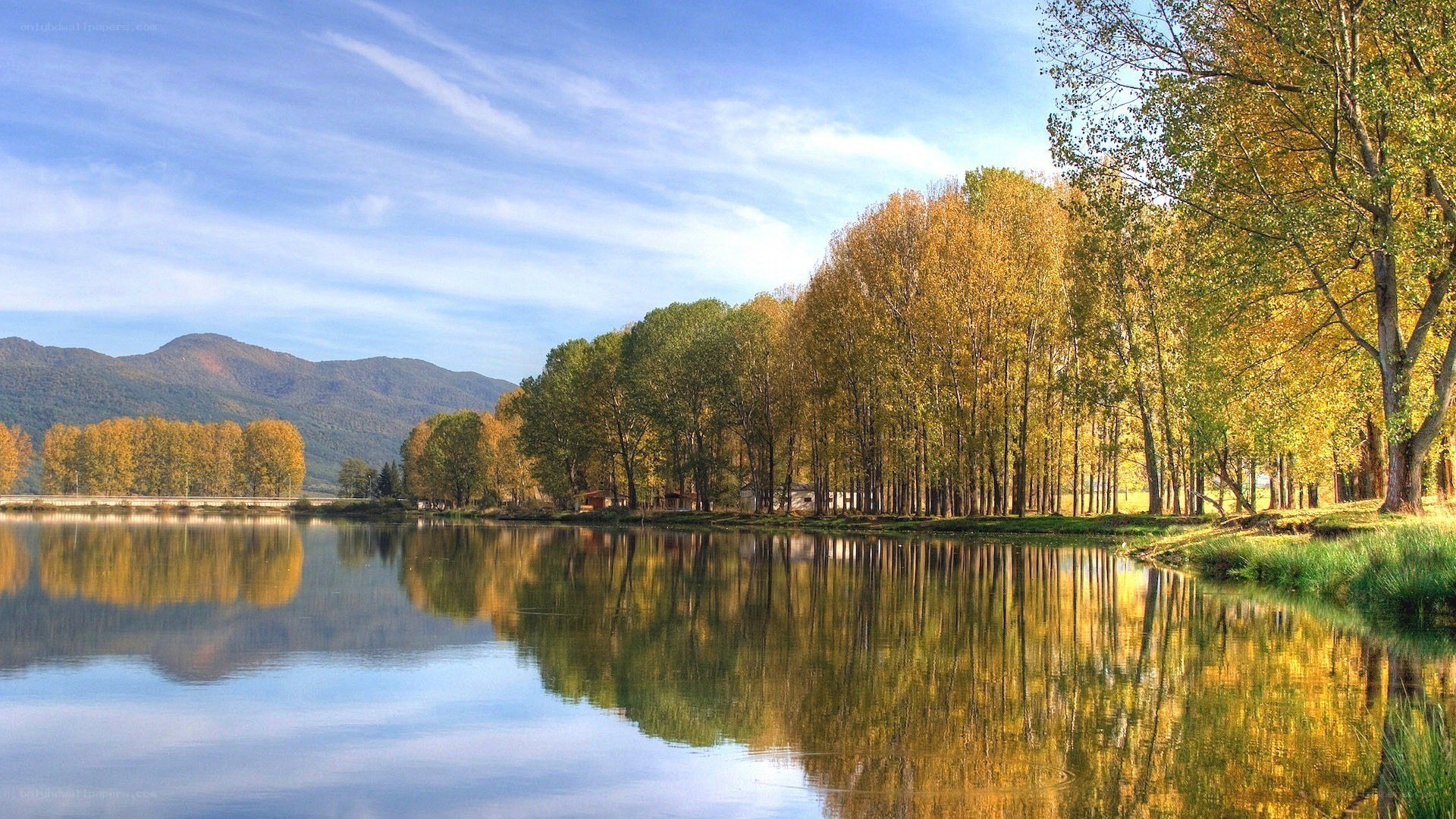 Autumn trees reflected in a lake