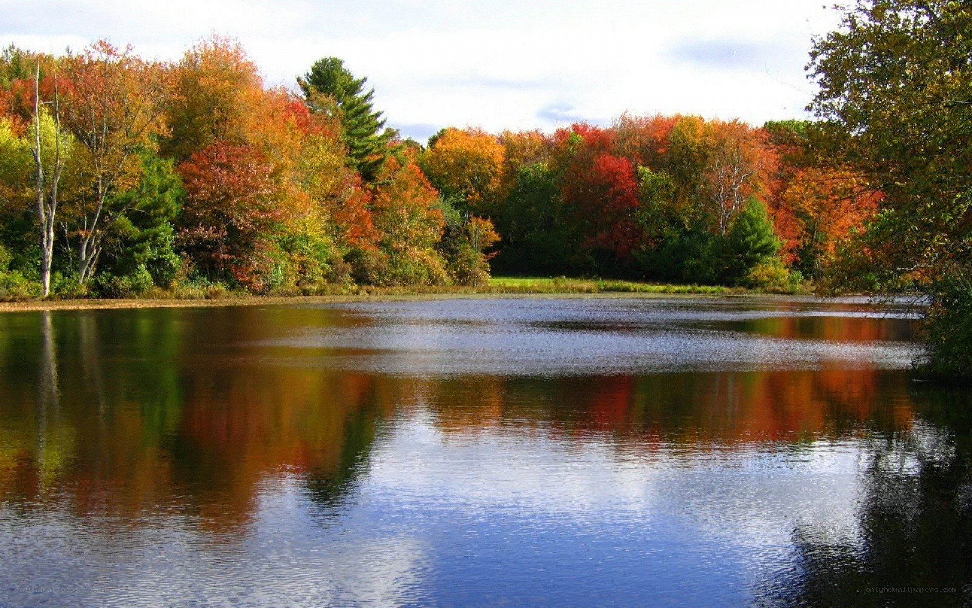 Autumn trees reflected in a lake