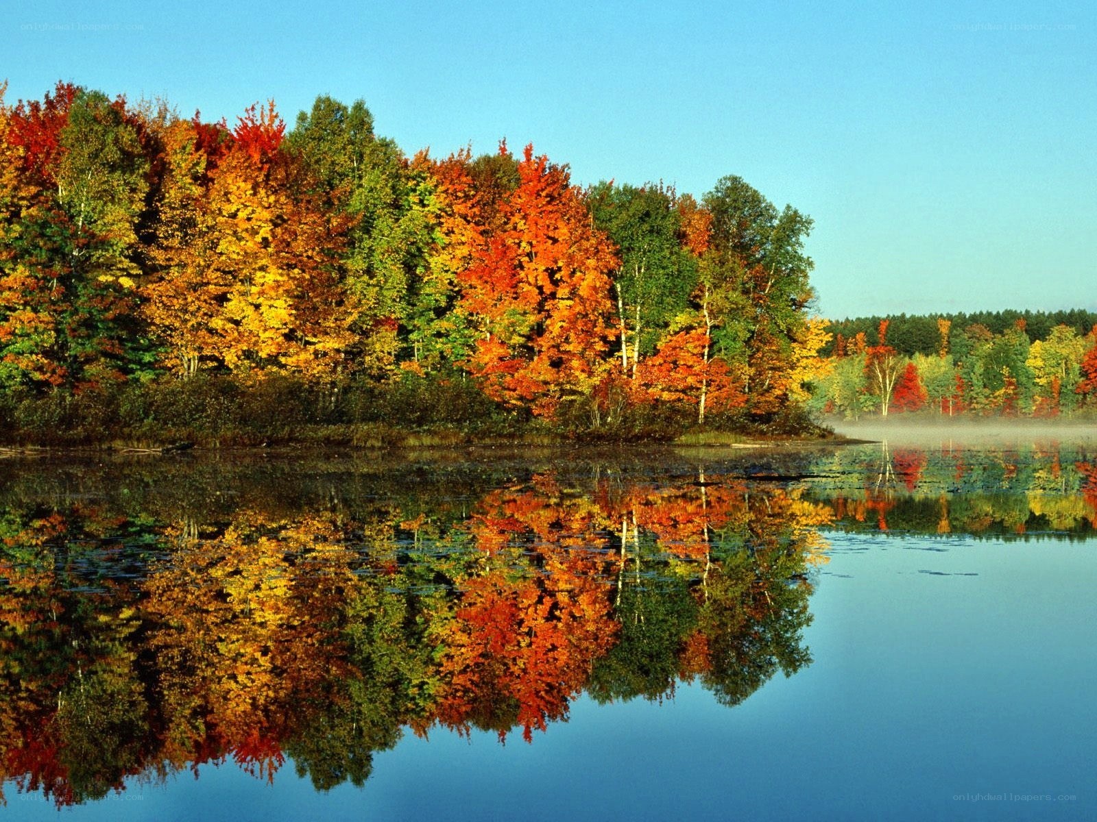 Autumn trees reflected in a lake