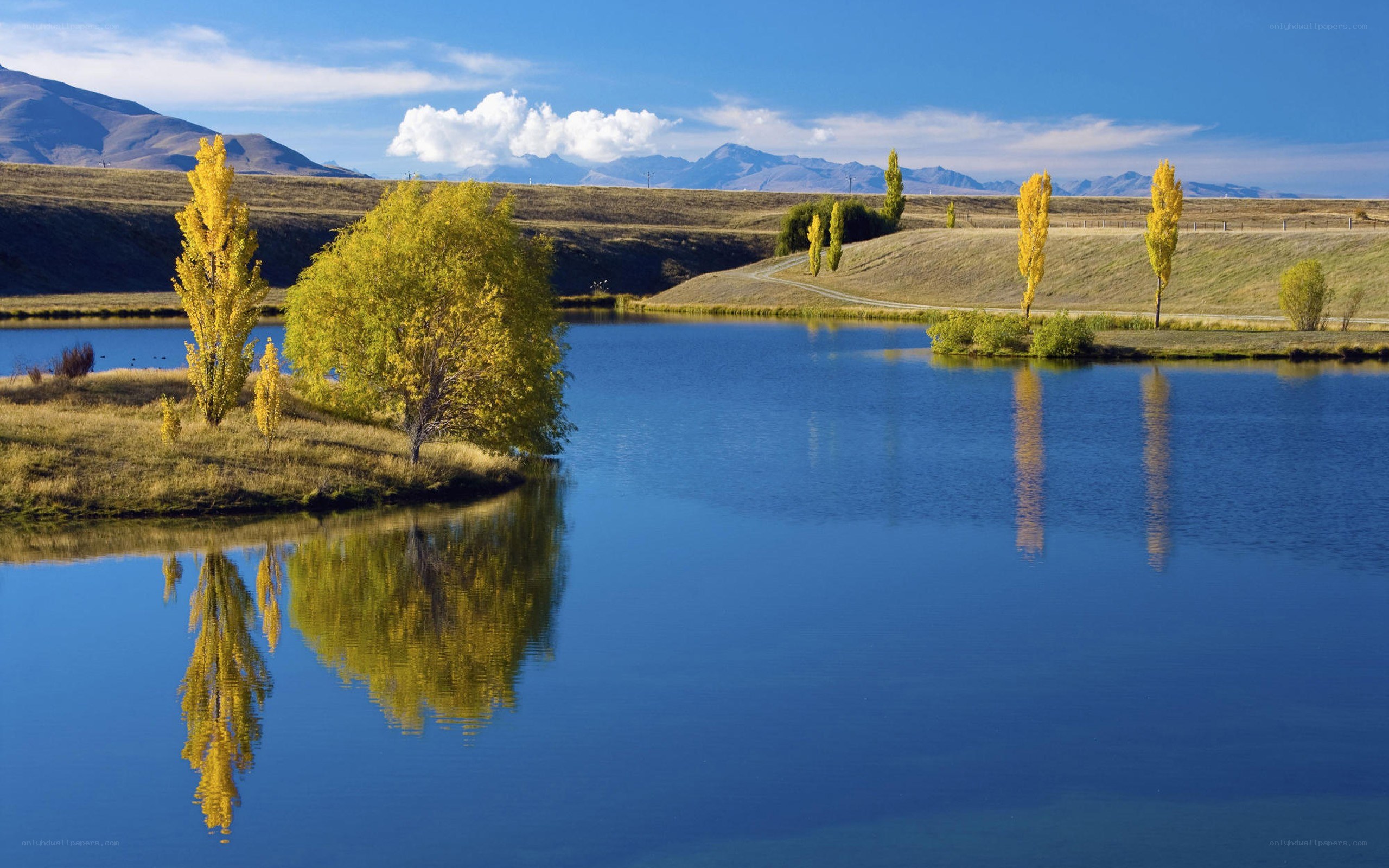 Autumn trees reflected in a lake