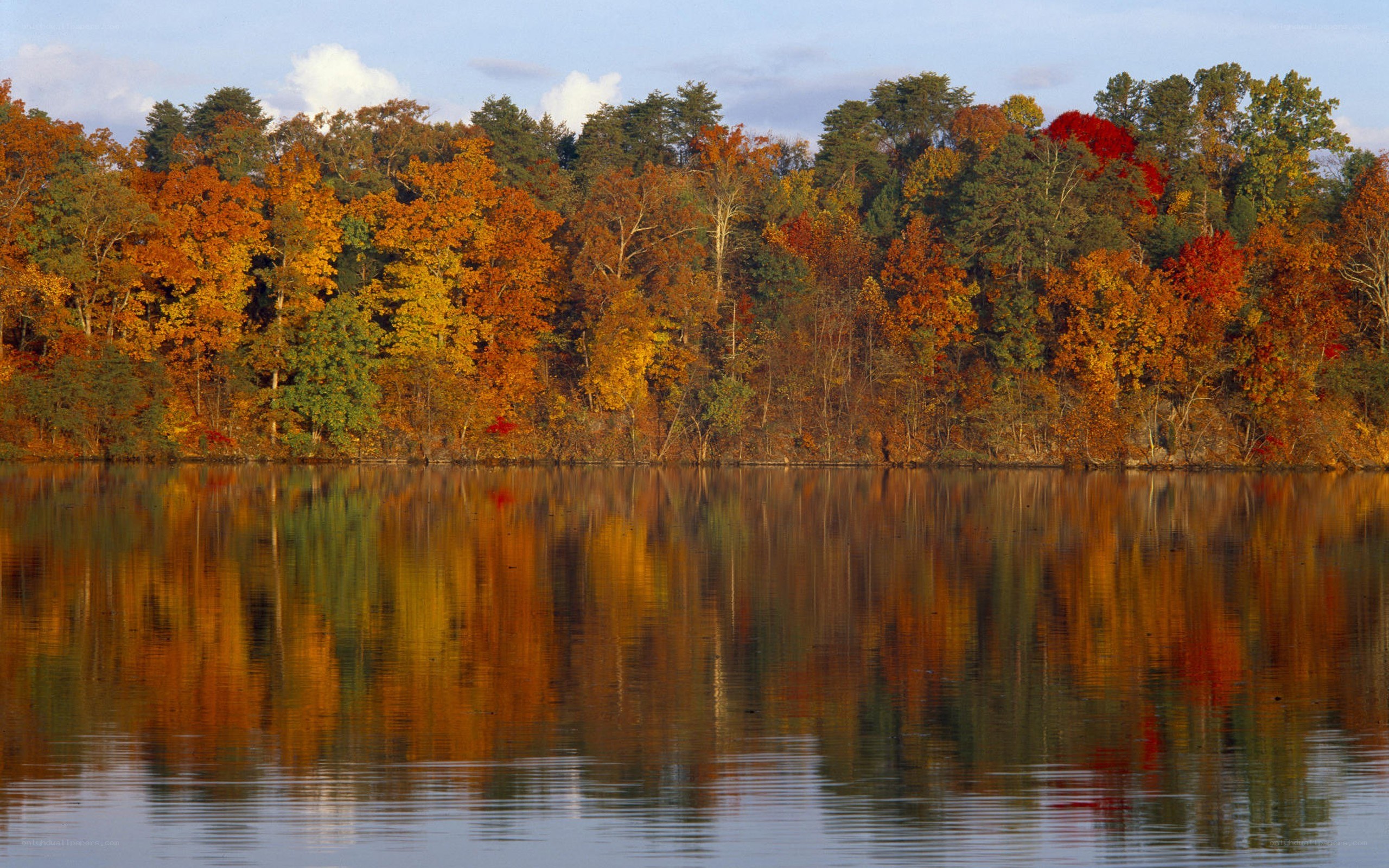 Autumn trees reflected in a lake