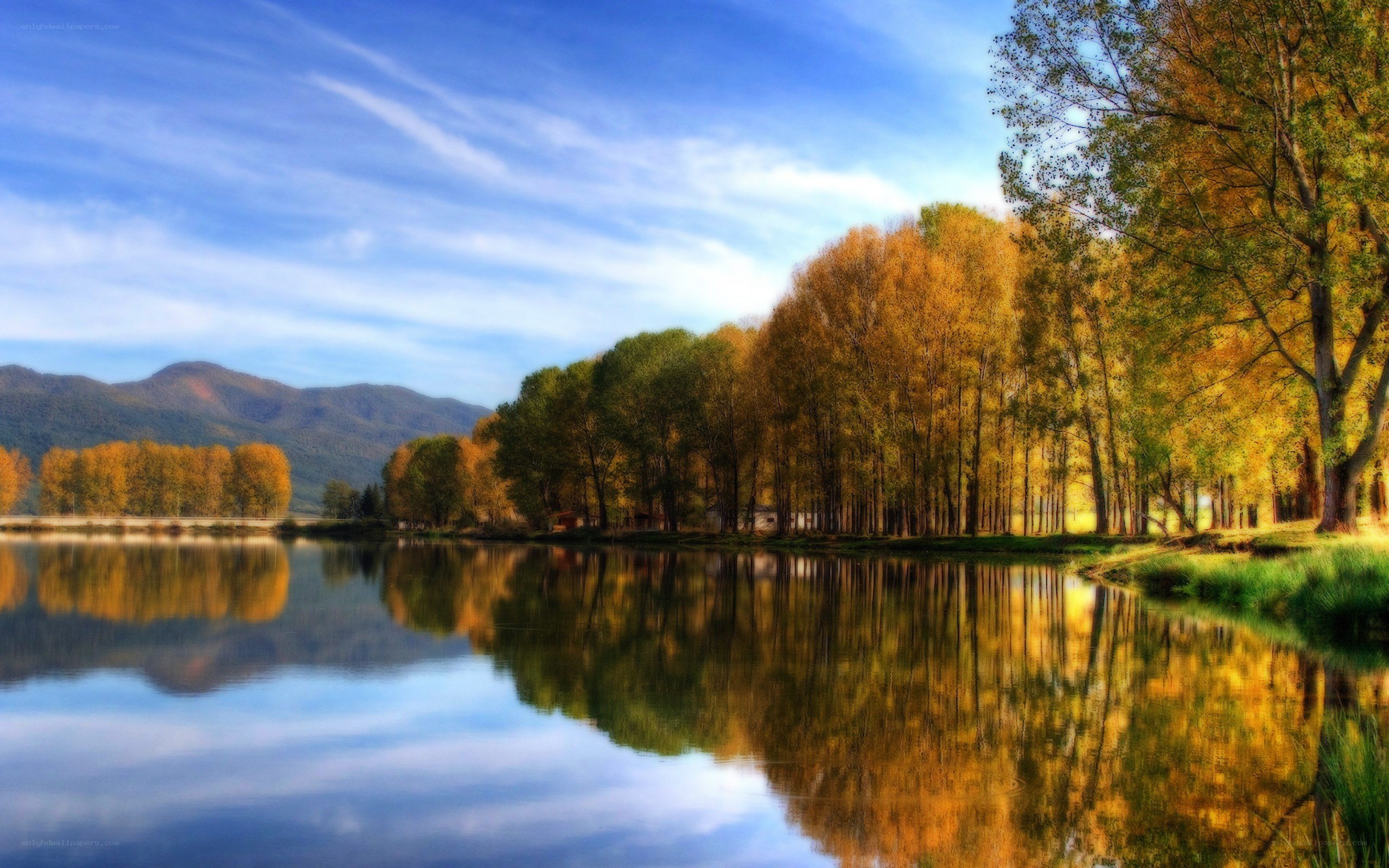 Autumn trees reflected in a lake
