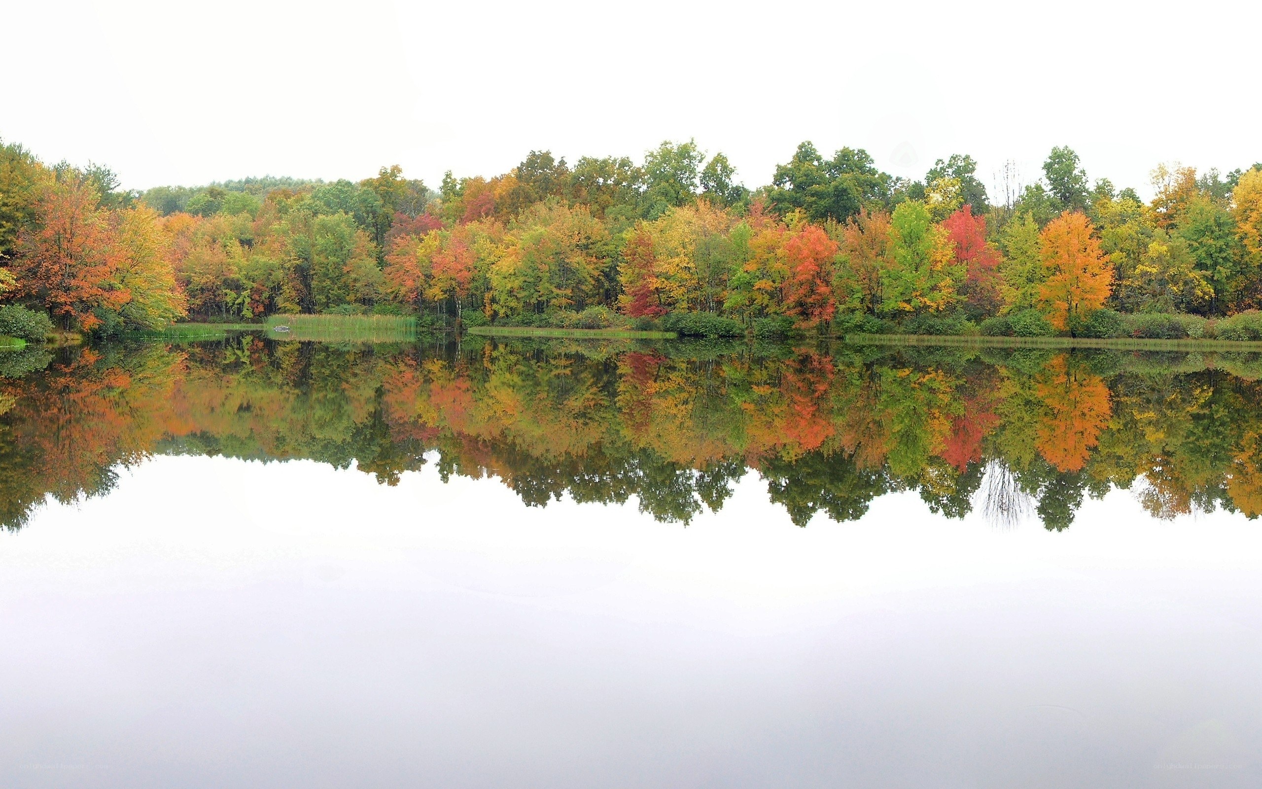 Autumn trees reflected in a lake