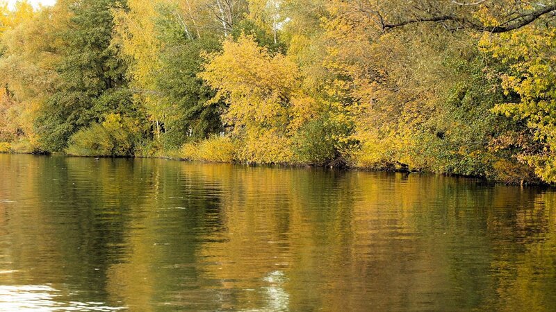 Autumn trees reflected in a lake