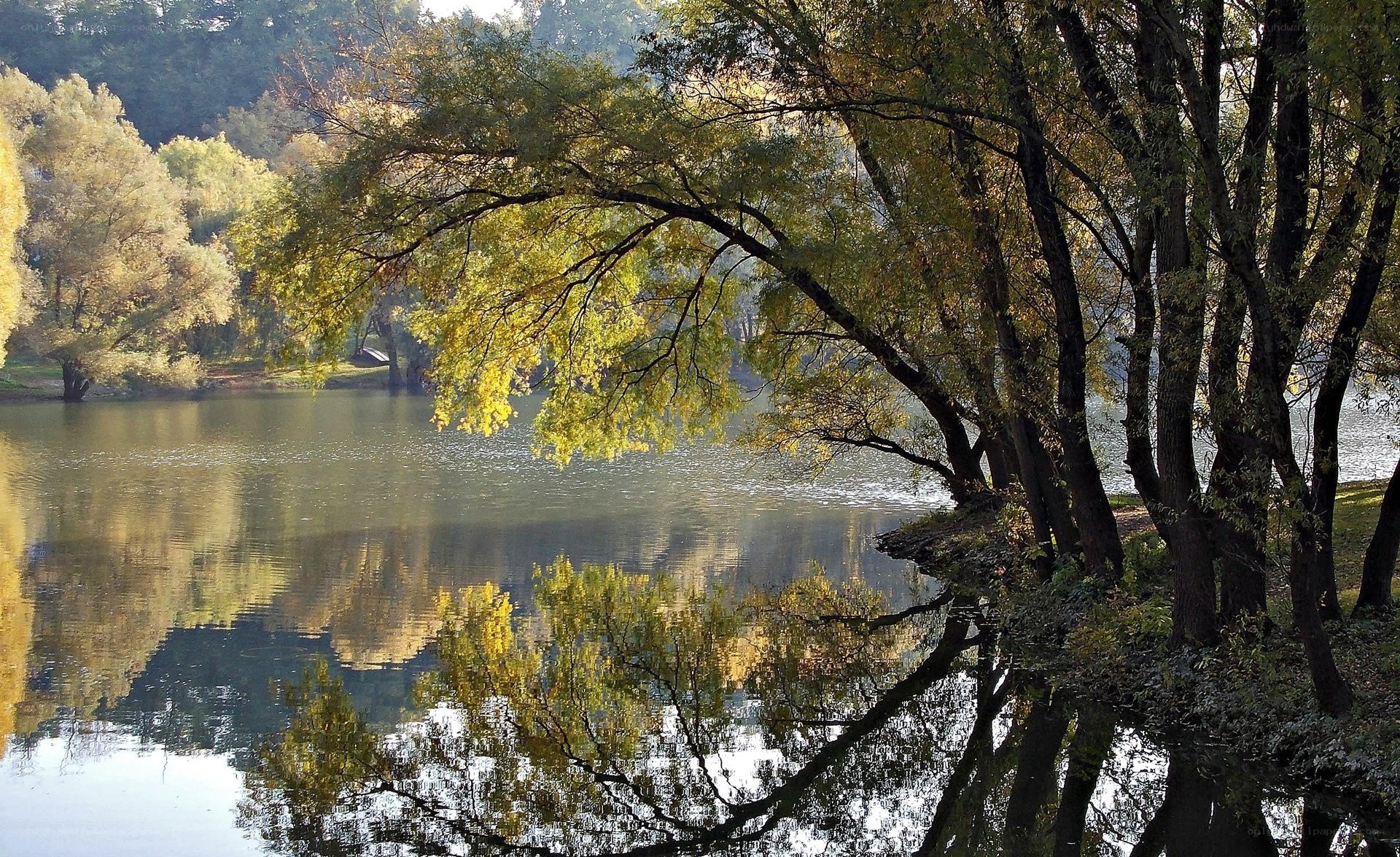 Autumn trees reflected in a lake