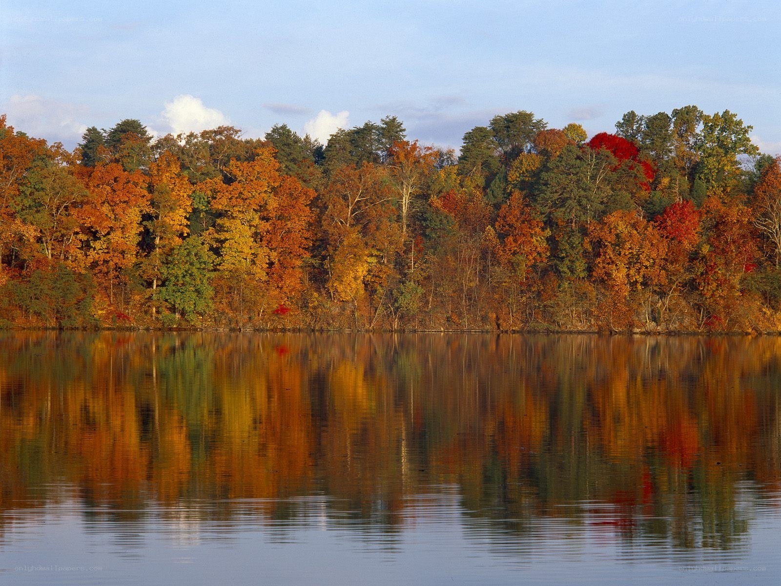 Autumn trees reflected in a lake