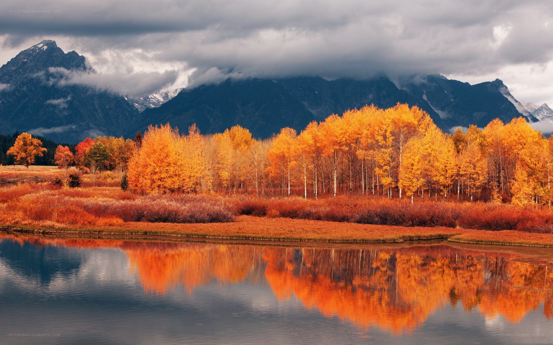 Autumn trees reflected in a lake