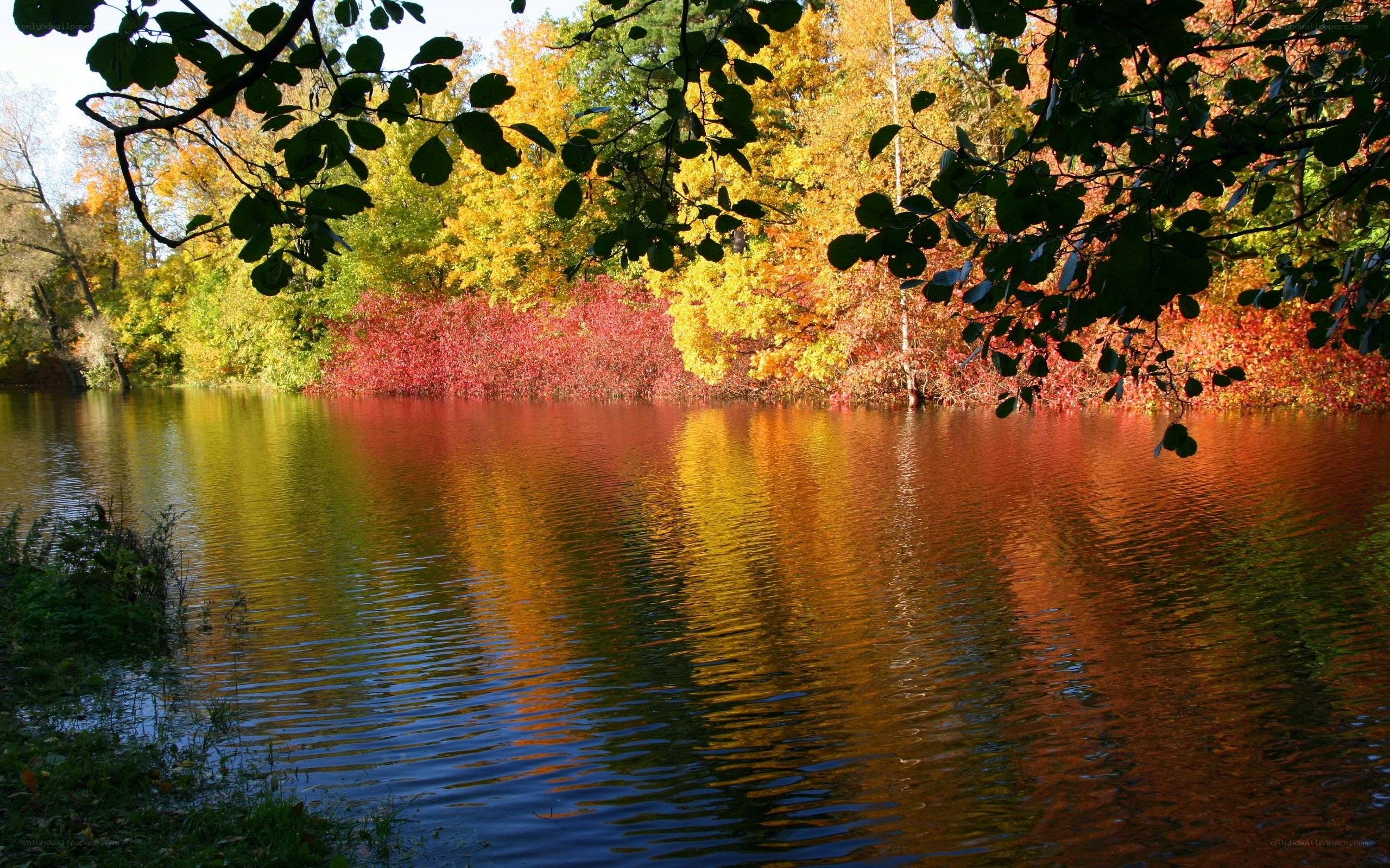 Autumn trees reflected in a lake