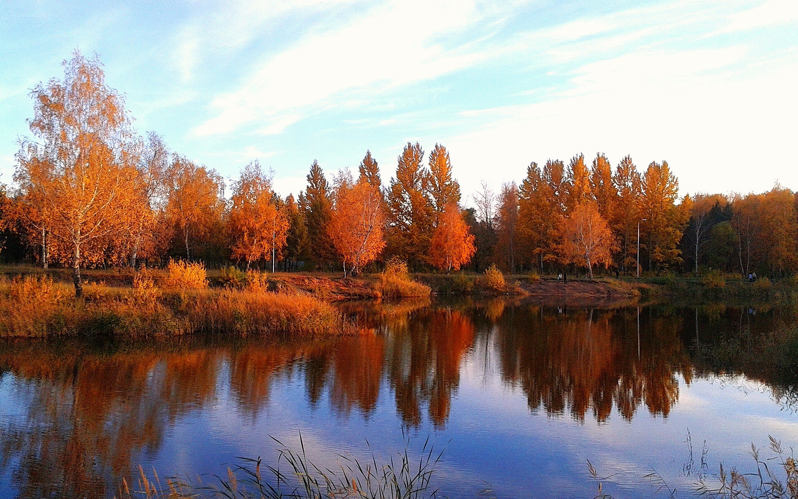 Autumn trees reflected in a lake
