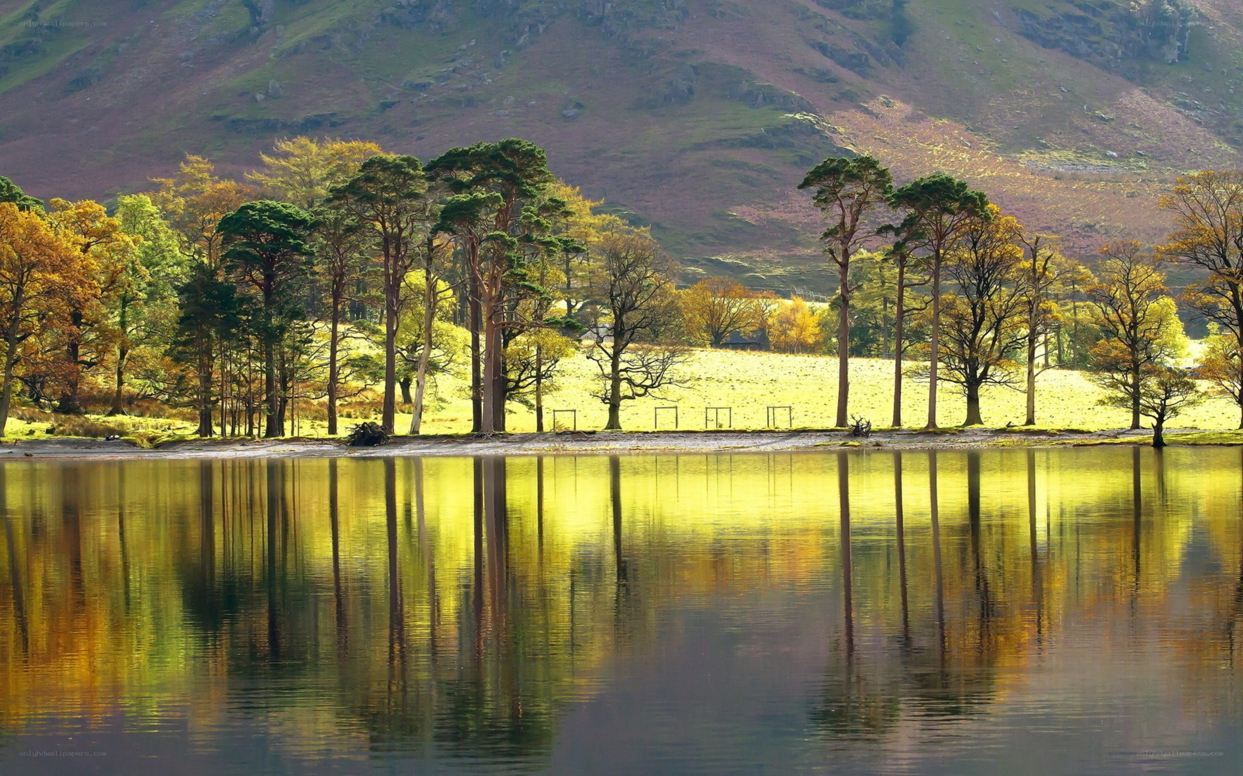 Autumn trees reflected in a lake
