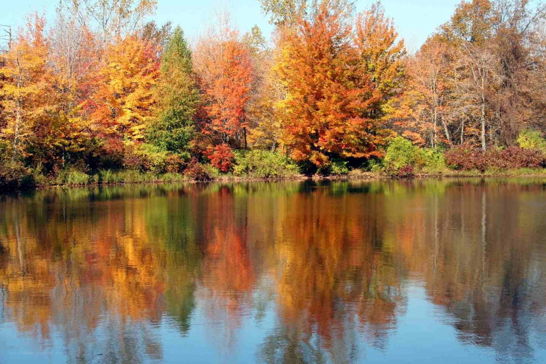 Autumn trees reflected in a lake