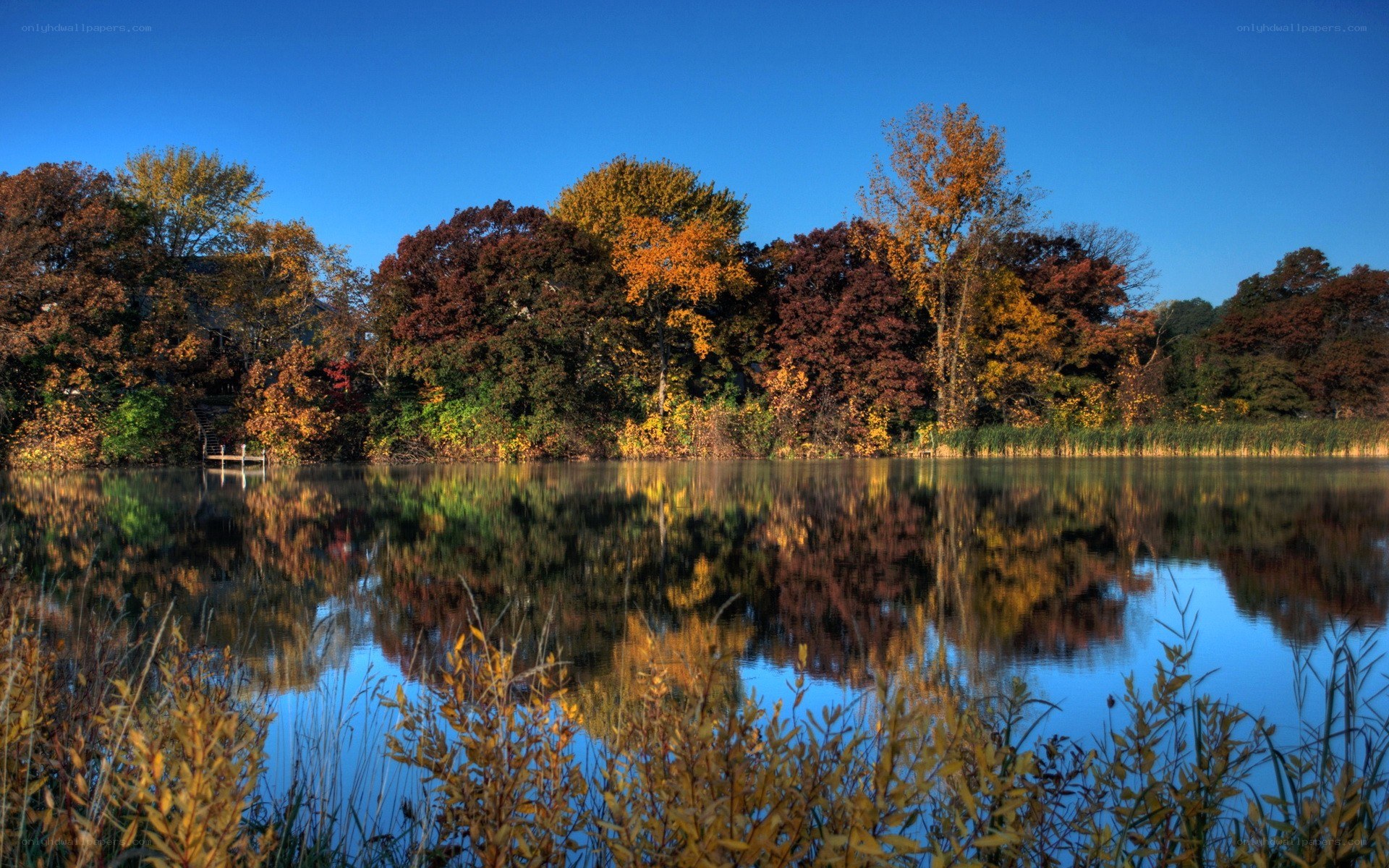 Autumn trees reflected in a lake