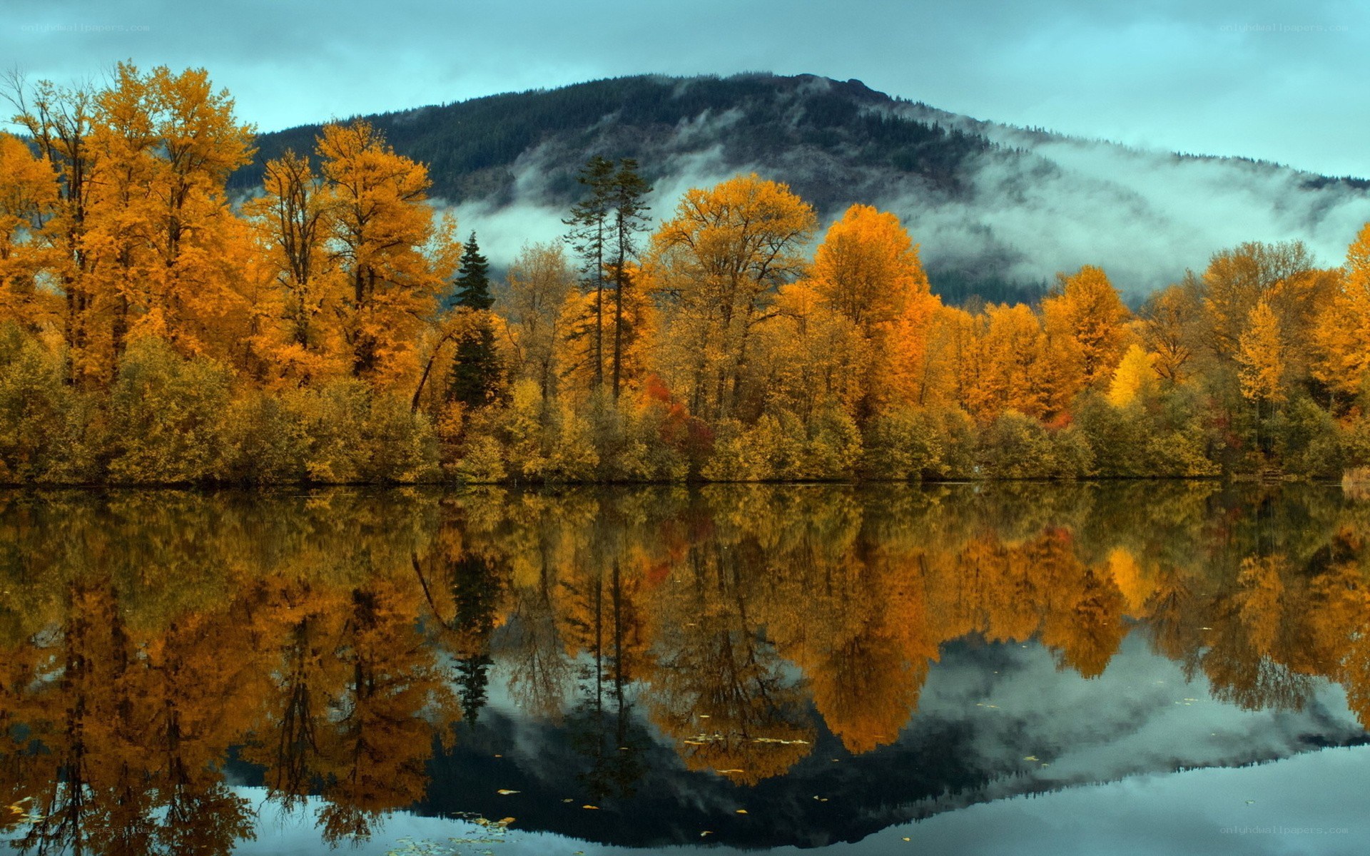 Autumn trees reflected in a lake