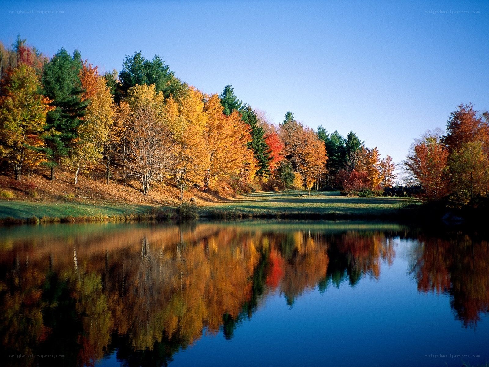 Autumn trees reflected in a lake