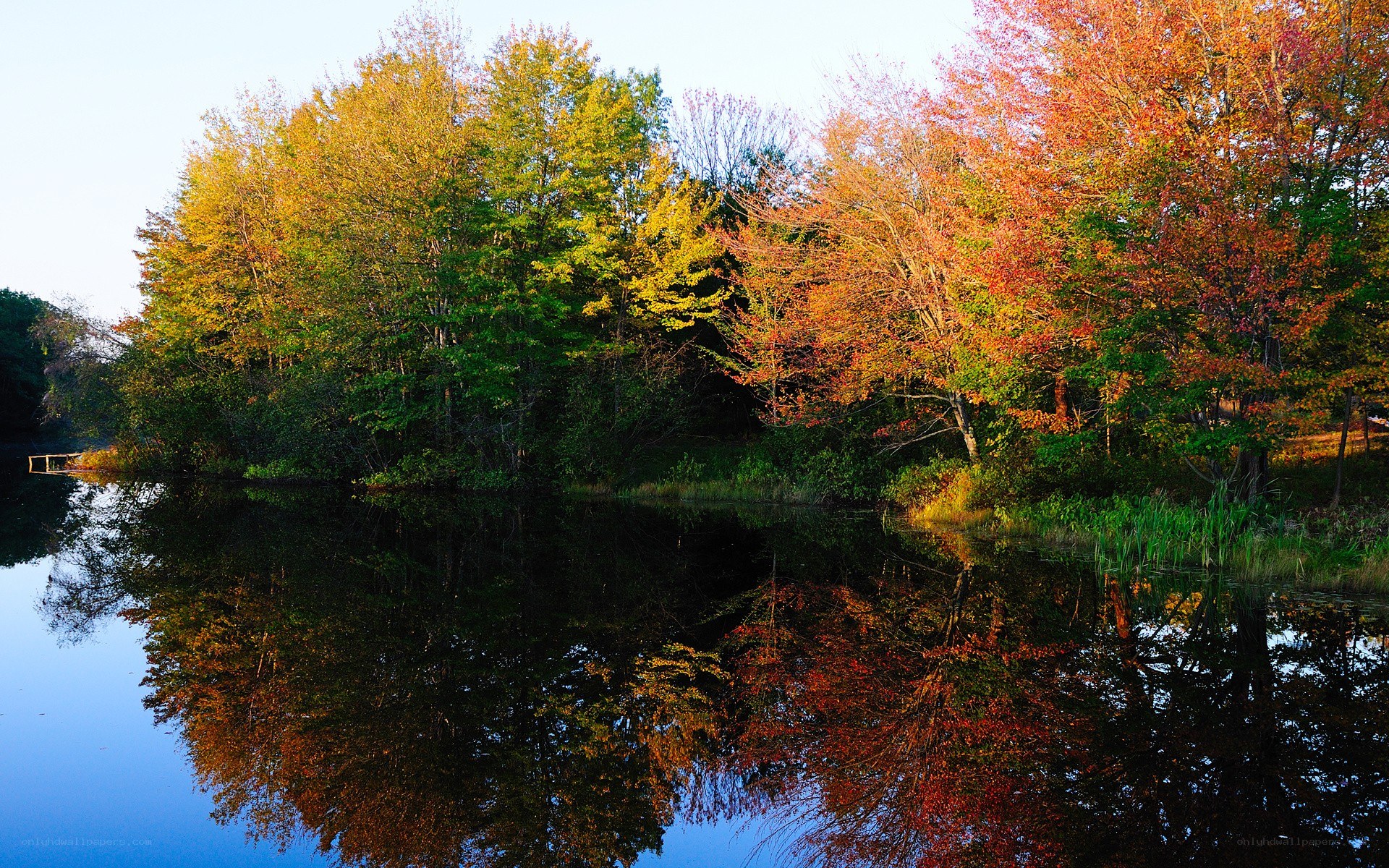 Autumn trees reflected in a lake