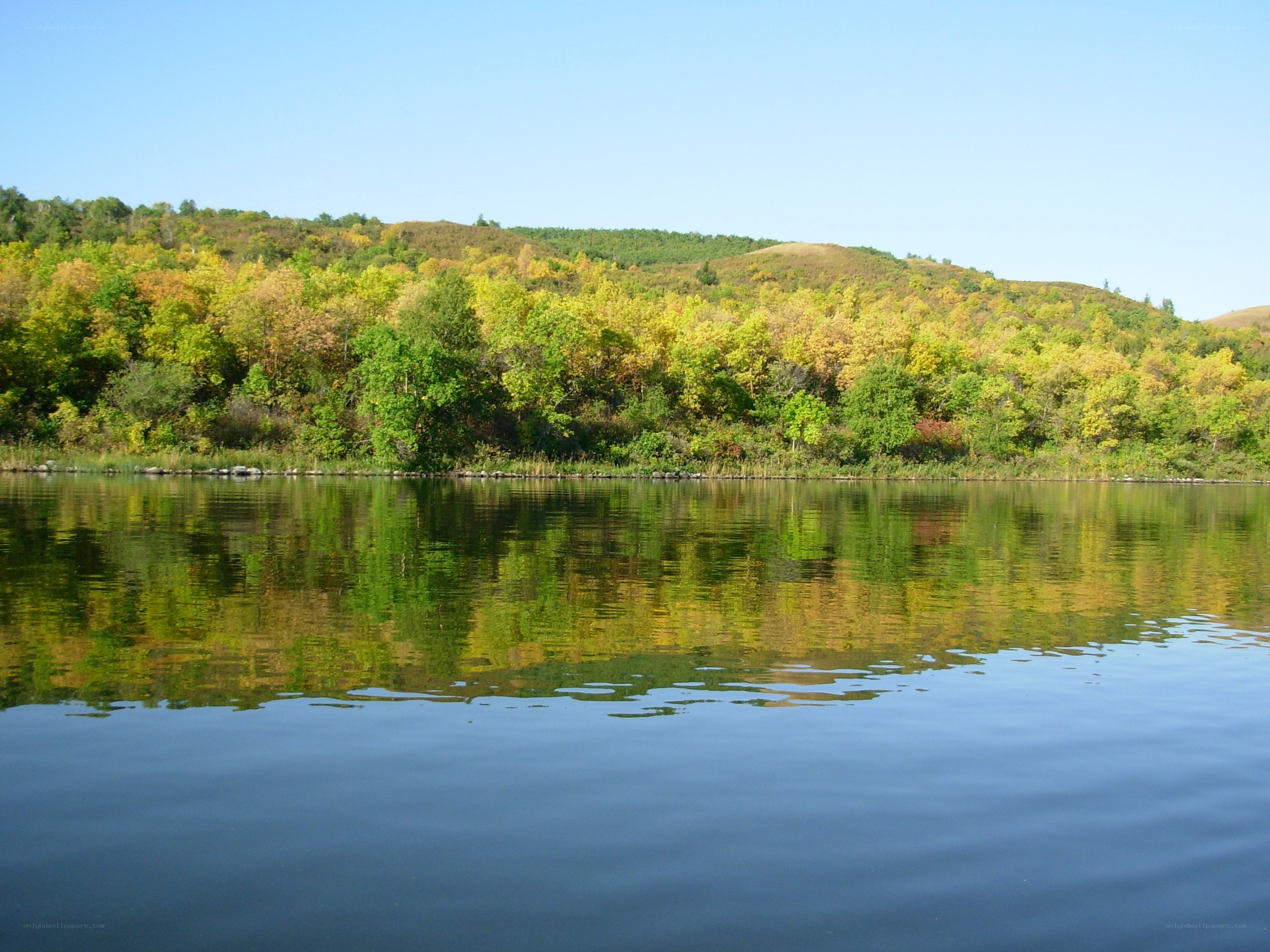 Autumn trees reflected in a lake